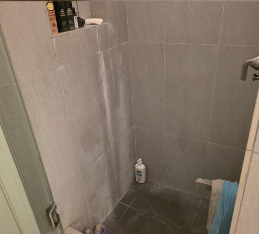 Shower Deep Clean — Before