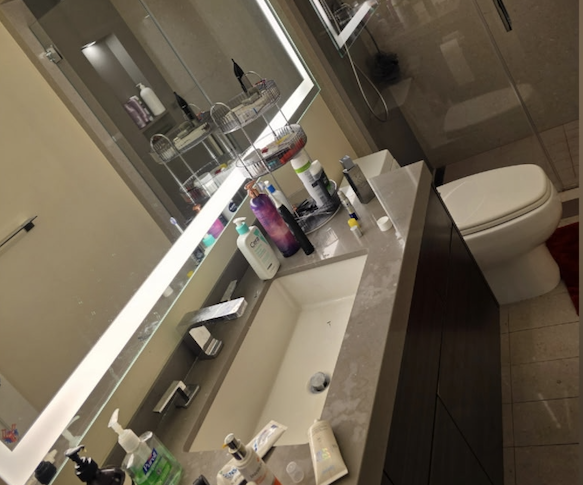 Bathroom Counter — Before
